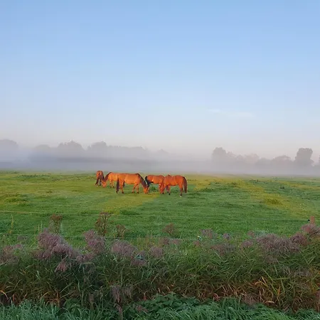 En Baie De Somme Saint-Quentin-en-Tourmont