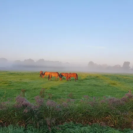 En Baie De Somme * Saint-Quentin-en-Tourmont